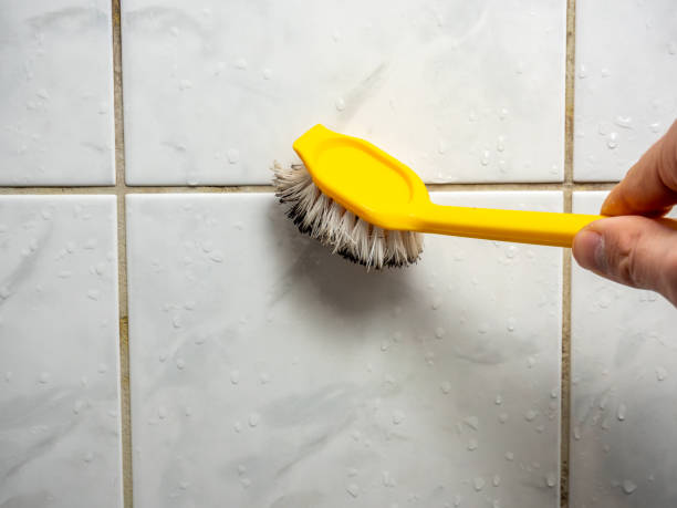 Best Mold Removal Specialists  in Arbury Hls, IL